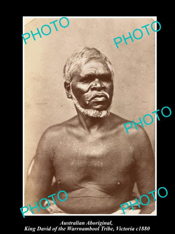 OLD LARGE HISTORIC PHOTO OF ABORIGINAL KING DAVID OF THE WARRNAMBOOL TRIBE c1880