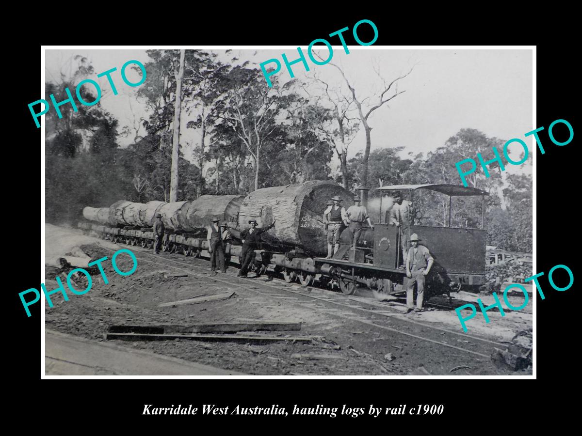 OLD LARGE HISTORIC PHOTO OF KARRIDALE WEST AUSTRALIA, HAULING LOGS BY RAIL c1900