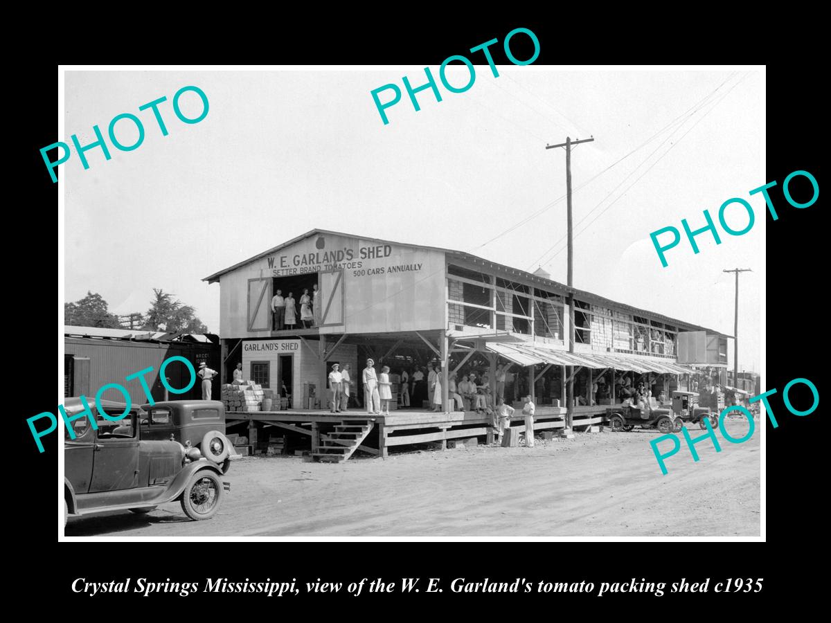 OLD HISTORIC PHOTO OF CRYSTAL SPRINGS MISSISSIPPI, GARLANDS TOMATO SHED c1935