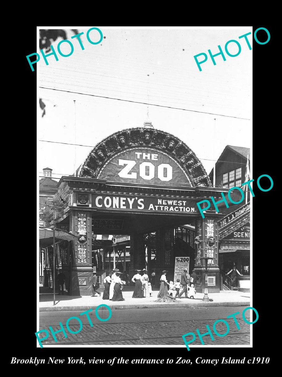 OLD LARGE HISTORIC PHOTO BROOKLYN NEW YORK, THE CONEY ISLAND ZOO c1910