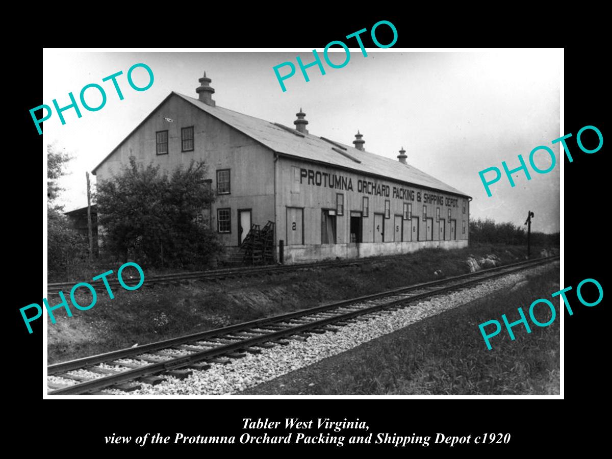 OLD LARGE HISTORIC PHOTO OF TABLER WEST VIRGINIA, PROTUMNA ORCHARD DEPOT c1920