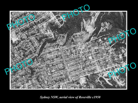 OLD LARGE HISTORIC PHOTO SYDNEY NEW SOUTH WALES, AERIAL VIEW OF ROSEVILLE c1950