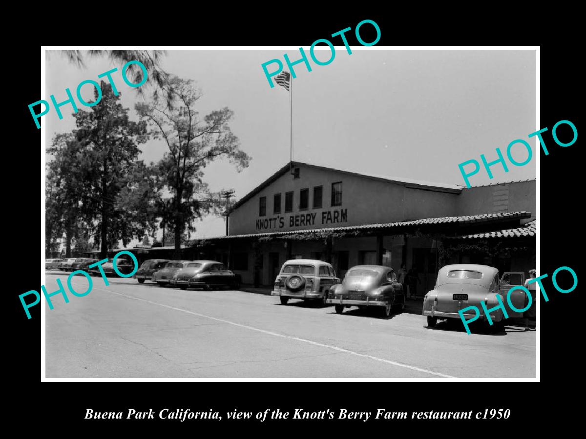 OLD LARGE HISTORIC PHOTO BUENA PARK CALIFORNIA, THE KNOTT BERRY FARM c1950