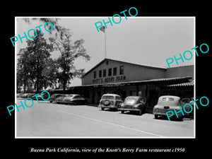 OLD LARGE HISTORIC PHOTO BUENA PARK CALIFORNIA, THE KNOTT BERRY FARM c1950