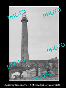 OLD LARGE HISTORIC PHOTO OF MALLACOOTA VICTORIA, THE GABO Is LIGHTHOUSE c1900