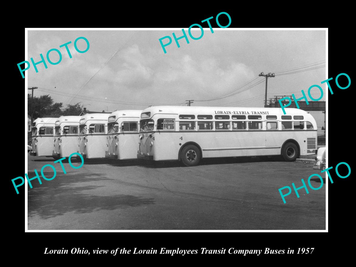 OLD LARGE HISTORIC PHOTO OF LORAIN OHIO, THE LORAIN ELYRIA TRANSIT BUSES c1957