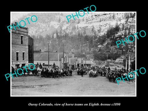 OLD LARGE HISTORIC PHOTO OF OURAY COLORADO, HORSE TEAMS ON 8th AVENUE c1890