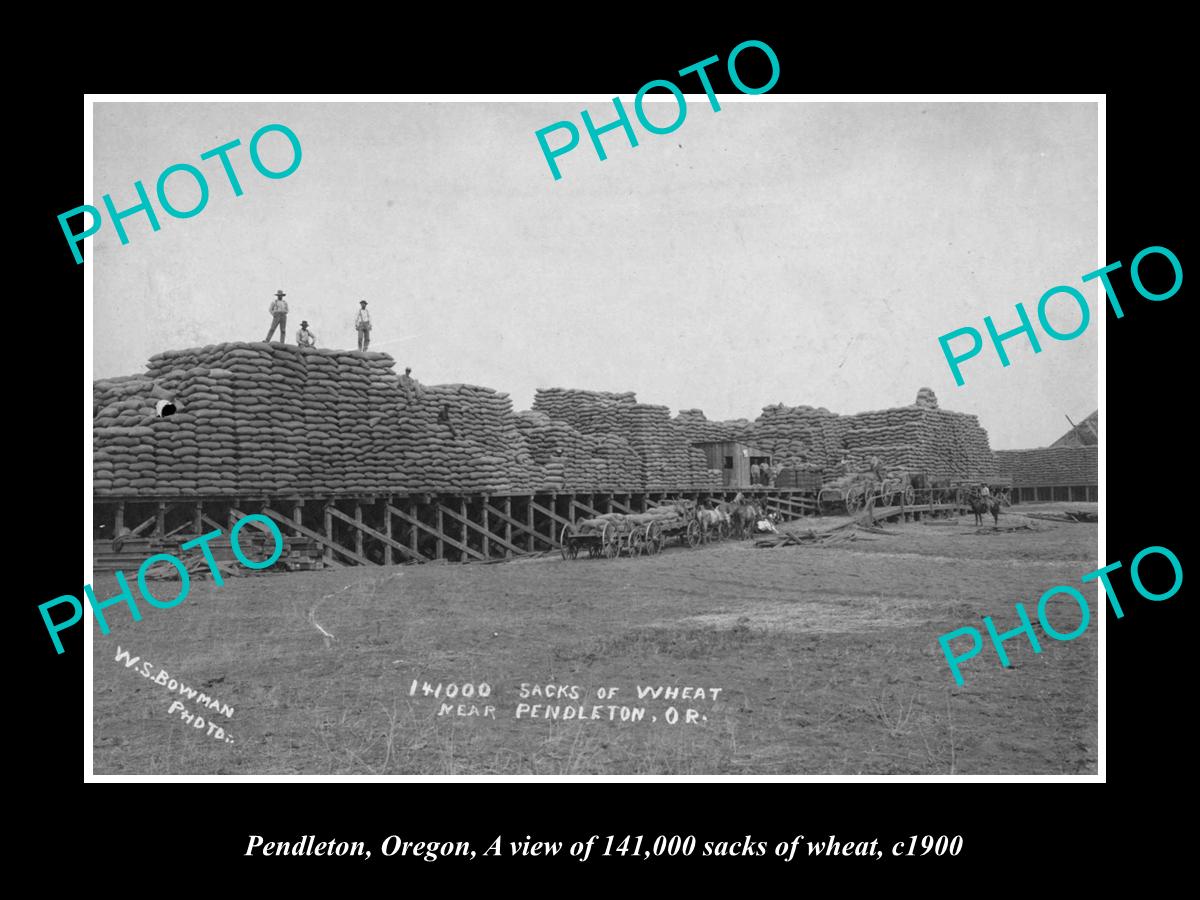 OLD LARGE HISTORIC PHOTO OF PENDLETON OREGON, THE 141,000 SACKS OF WHEAT c1900