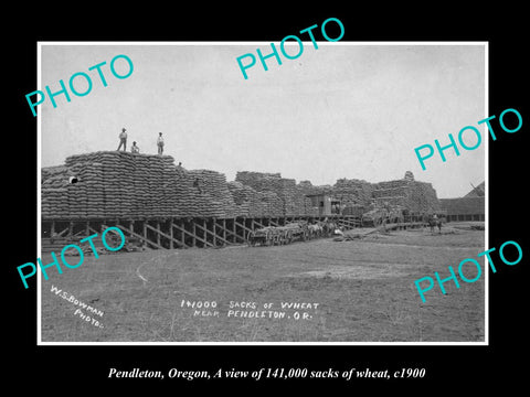 OLD LARGE HISTORIC PHOTO OF PENDLETON OREGON, THE 141,000 SACKS OF WHEAT c1900