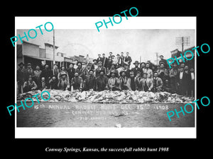 OLD LARGE HISTORIC PHOTO OF CONWAY SPRINGS KANSAS, THE BIG RABBIT HUNT c1908