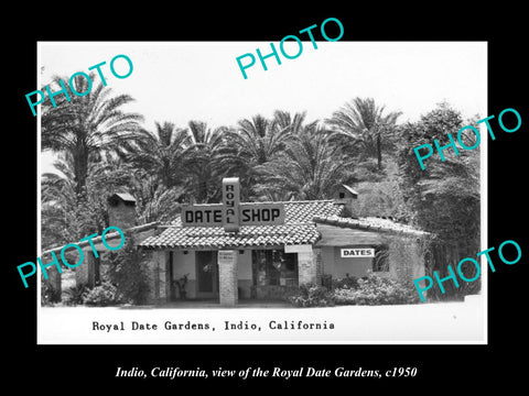 OLD LARGE HISTORIC PHOTO OF INDIO CALIFORNIA, THE ROYAL DATE GARDENS c1950