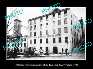 OLD LARGE HISTORIC PHOTO OF POTTSVILLE PENNSYLVANIA, THE YUENGLING BREWERY c1900