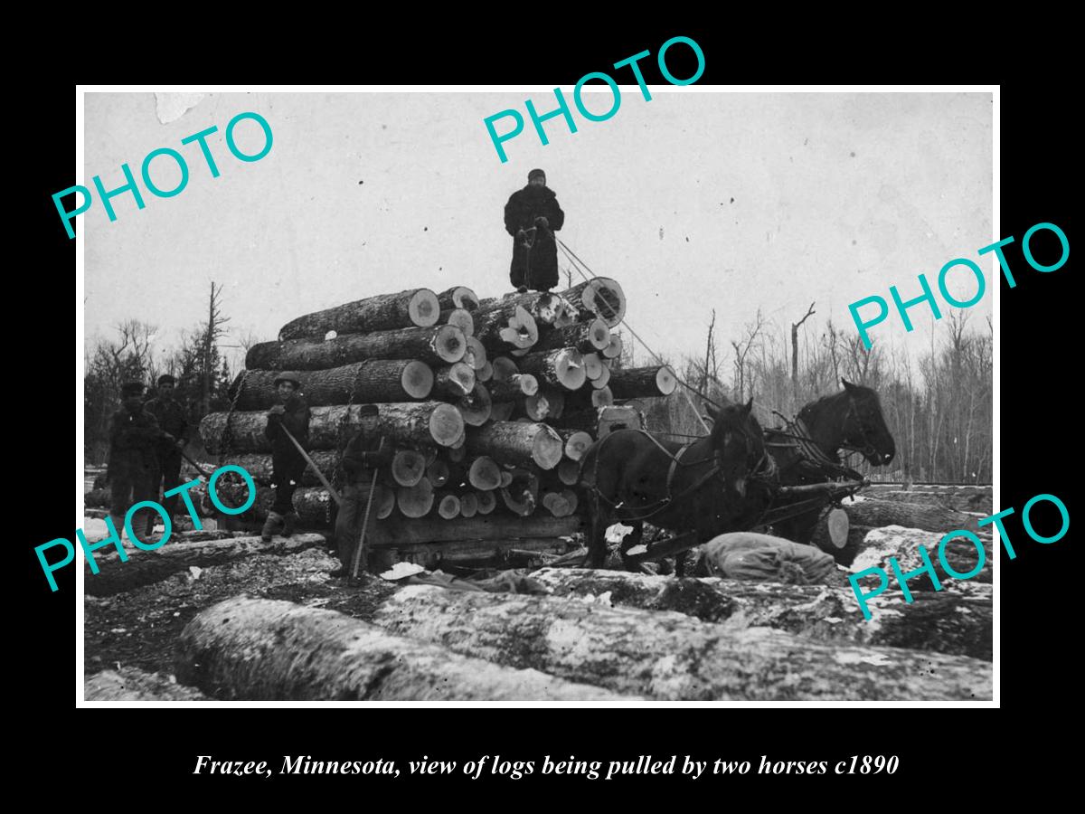 OLD LARGE HISTORIC PHOTO OF FRAZEE MINNESOTA, LOGGING TEAM AND WAGON c1890