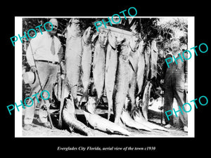 OLD LARGE HISTORIC PHOTO OF EVERGLADES CITY FLORIDA, FISHERMAN WITH TARPON c1930